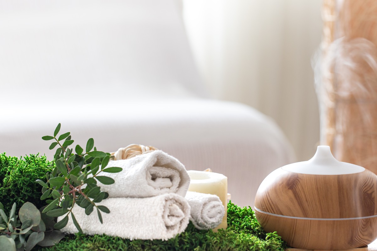 Lee más sobre el artículo Nulla metus metus ullamcorper